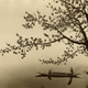 Illustration for article titled These Beautiful Chinese Ink Drawings Are Really Amazing Photographs